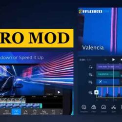 Download VN Pro Mod Apk Full Unlocked Versi Terbaru 2020 Gratis